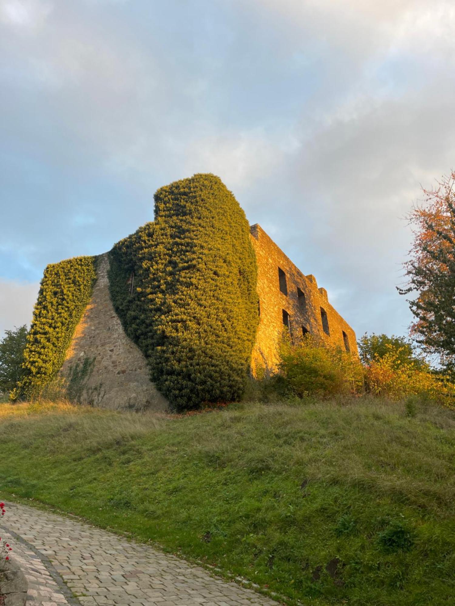 Ferienhaus Eifelstuben Mit Charme - Bauernstube Vulkaneifel - Naehe See Und Burgruine 乌尔门 外观 照片