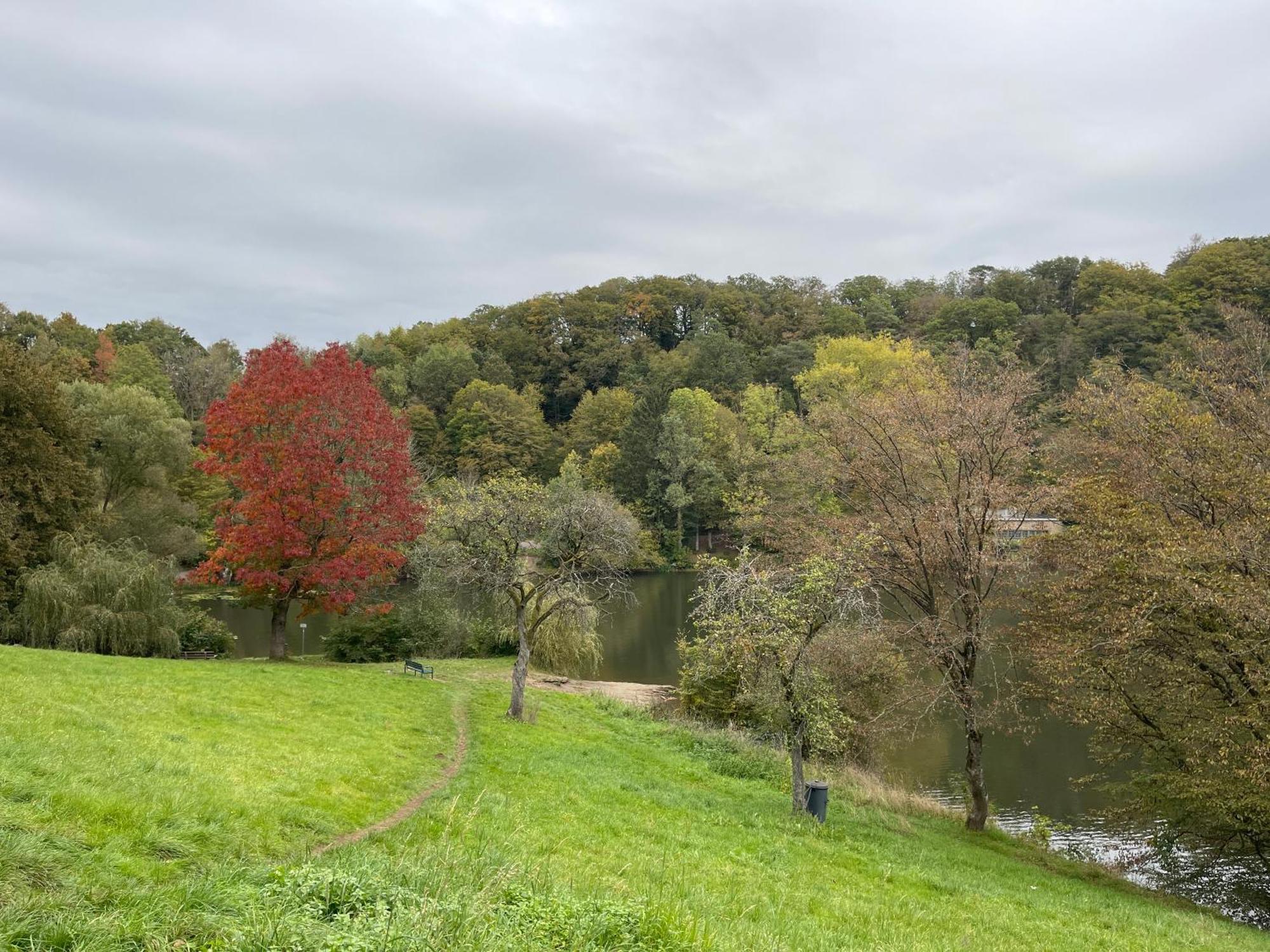 Ferienhaus Eifelstuben Mit Charme - Bauernstube Vulkaneifel - Naehe See Und Burgruine 乌尔门 外观 照片
